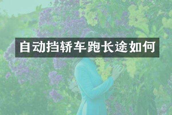 自动挡轿车跑长途如何