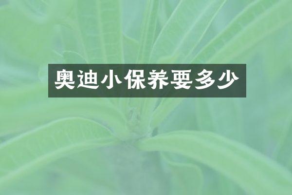 奥迪小保养要多少