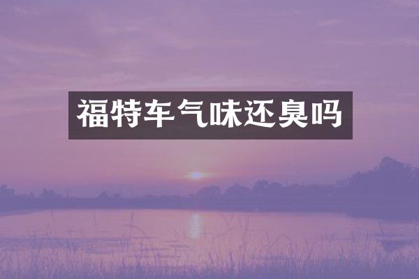 福特车气味还臭吗