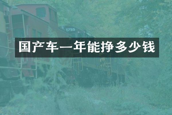 国产车一年能挣多少钱