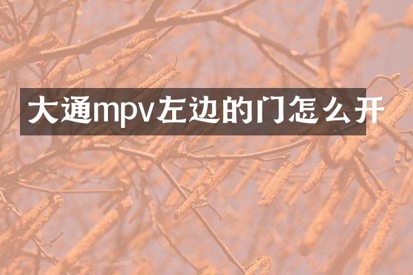 大通mpv左边的门怎么开