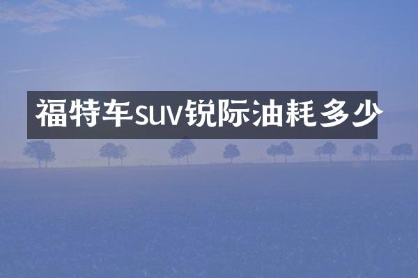 福特车suv锐际油耗多少