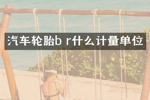 汽车轮胎b r什么计量单位