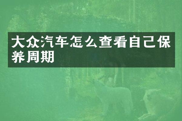 大众汽车怎么查看自己保养周期
