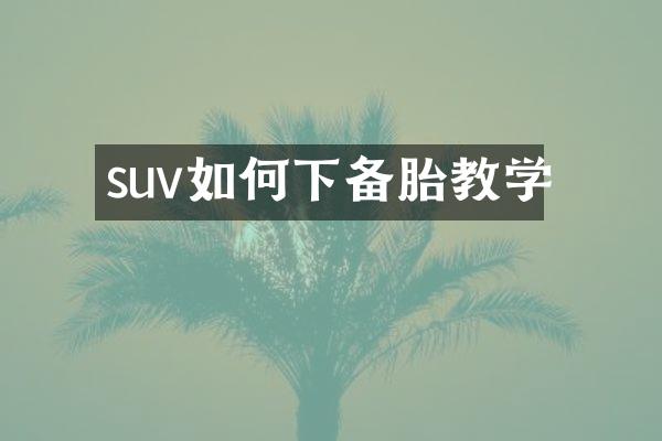 suv如何下备胎教学