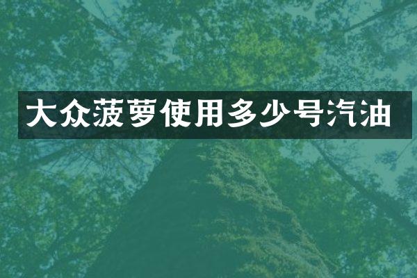 大众菠萝使用多少号汽油