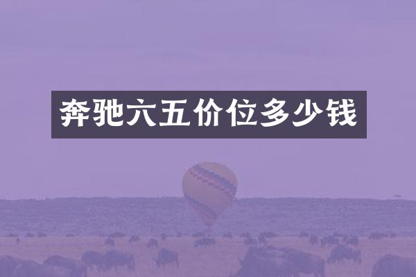 奔驰六五价位多少钱