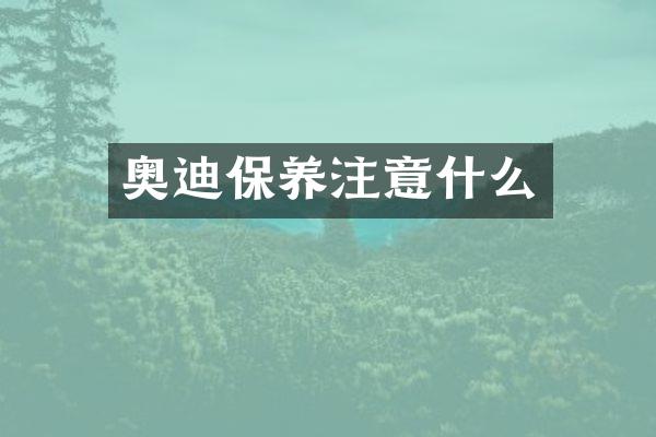 奥迪保养注意什么