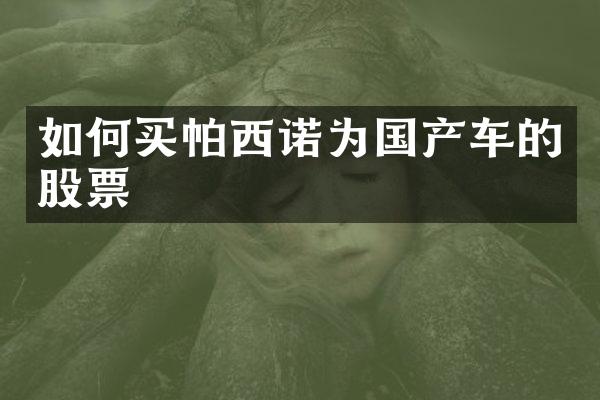 如何买帕西诺为国产车的股票