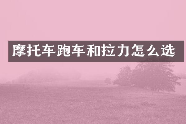 摩托车跑车和拉力怎么选