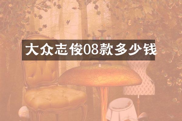 大众志俊08款多少钱