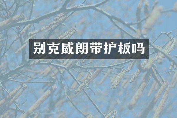 别克威朗带护板吗