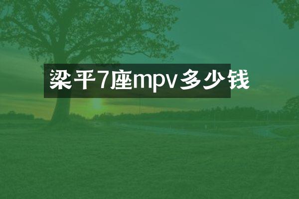 梁平7座mpv多少钱