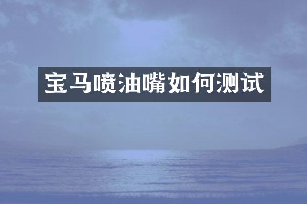 宝马喷油嘴如何测试