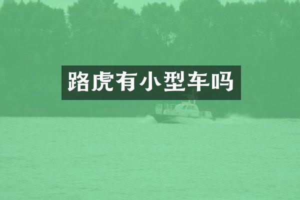 路虎有小型车吗