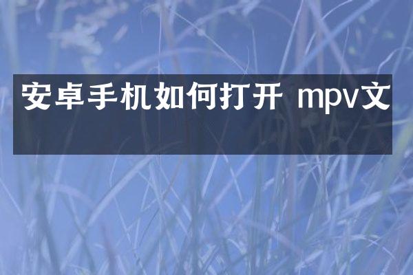 安卓手机如何打开 mpv文件