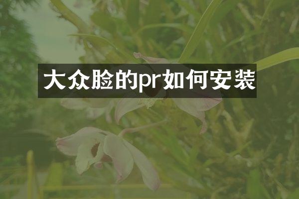 大众脸的pr如何安装
