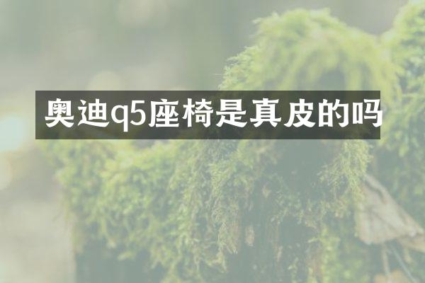 奥迪q5座椅是真皮的吗