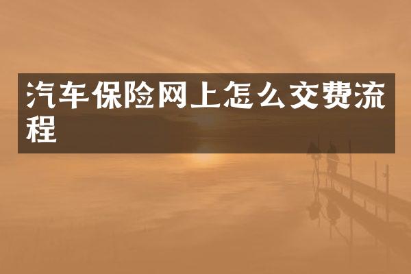 汽车保险网上怎么交费流程