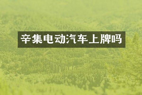 辛集电动汽车上牌吗