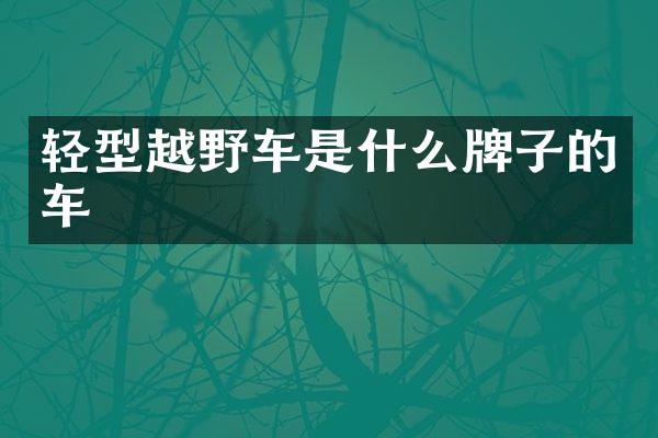轻型越野车是什么牌子的车