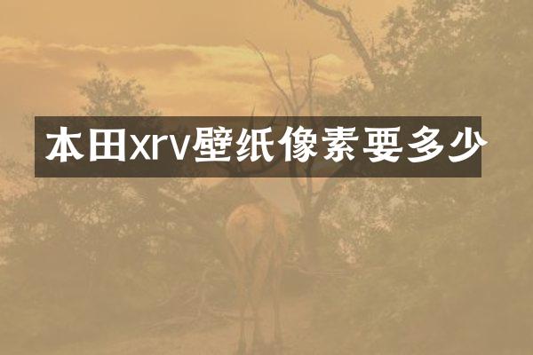 本田xrv壁纸像素要多少