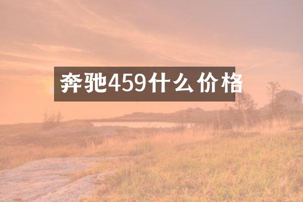 奔驰459什么价格
