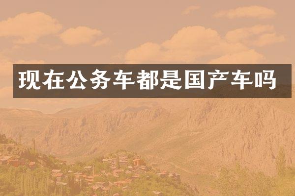 现在公务车都是国产车吗