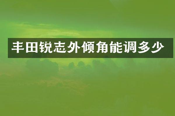 丰田锐志外倾角能调多少