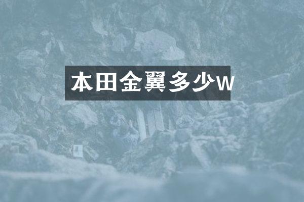 本田金翼多少w