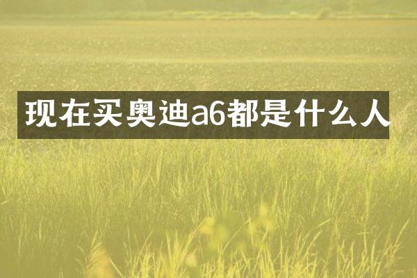 现在买奥迪a6都是什么人