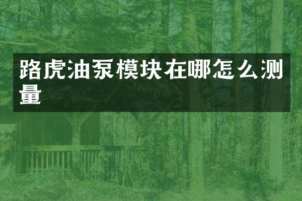 路虎油泵模块在哪怎么测量
