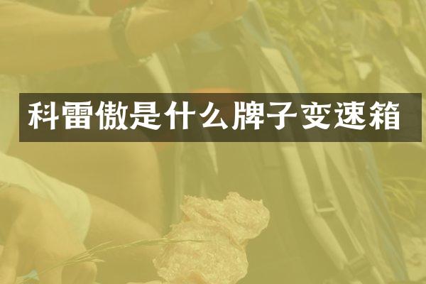 科雷傲是什么牌子变速箱