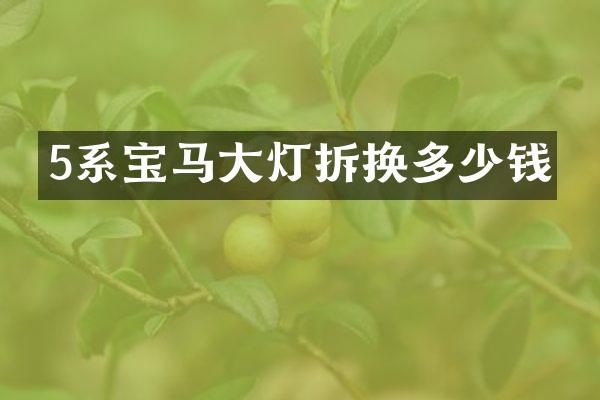 5系宝马大灯拆换多少钱