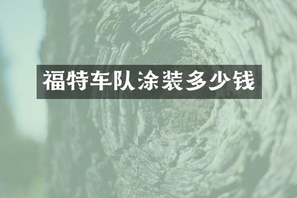 福特车队涂装多少钱