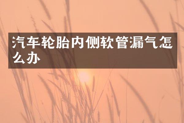 汽车轮胎内侧软管漏气怎么办