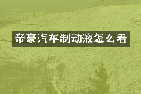 帝豪汽车制动液怎么看