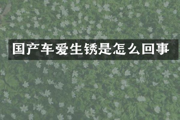 国产车爱生锈是怎么回事