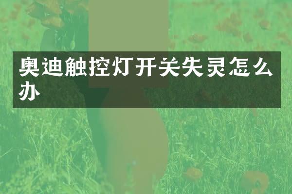 奥迪触控灯开关失灵怎么办