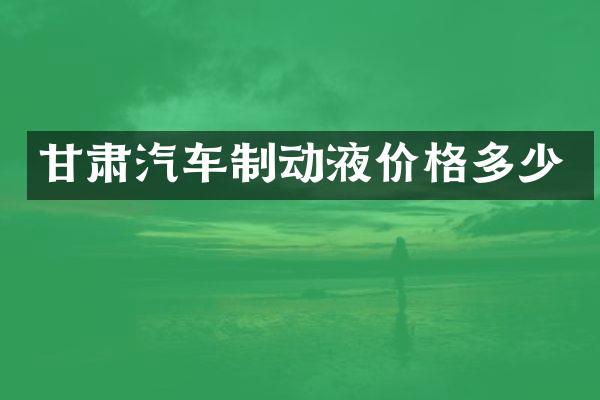 甘肃汽车制动液价格多少