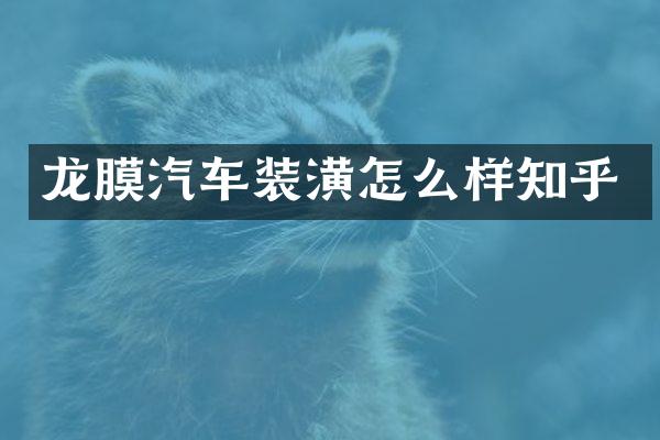 龙膜汽车装潢怎么样知乎