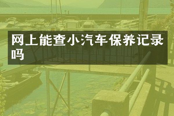 网上能查小汽车保养记录吗