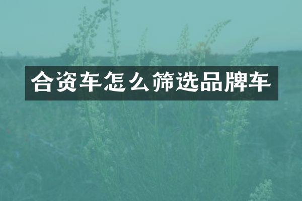 合资车怎么筛选品牌车