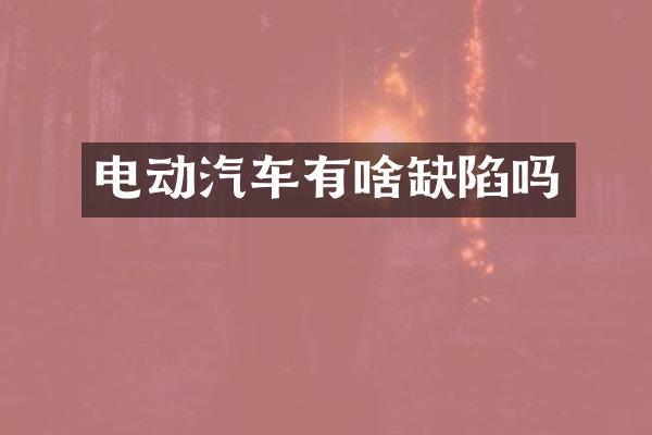 电动汽车有啥缺陷吗