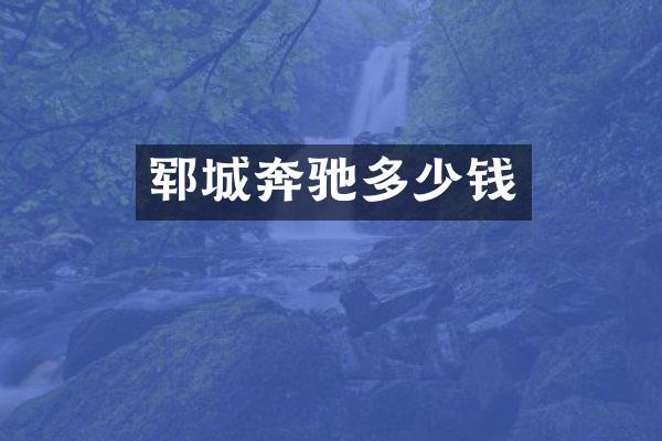 郓城奔驰多少钱