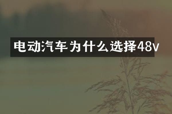 电动汽车为什么选择48v