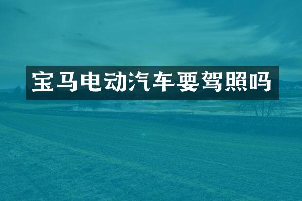 宝马电动汽车要驾照吗