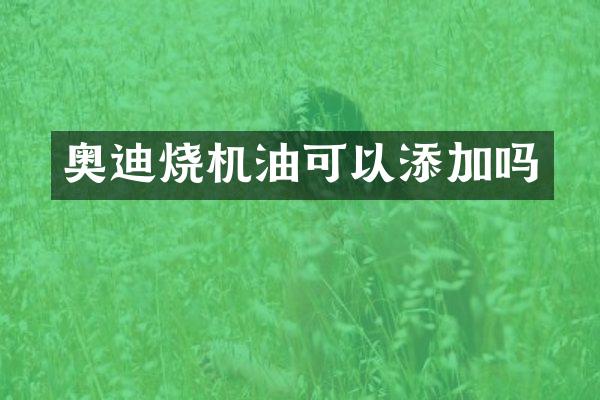 奥迪烧机油可以添加吗
