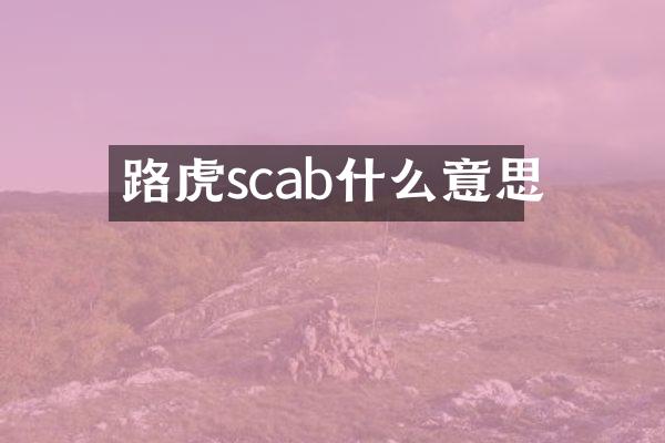 路虎scab什么意思