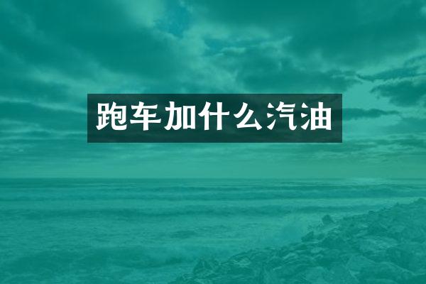 跑车加什么汽油